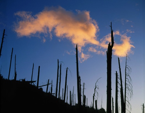 Sunset, Mount Saint Helens, Washington (MF).jpg